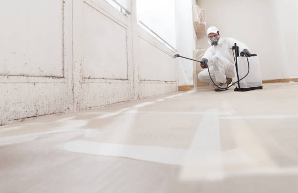 24/7 Emergency Black Mold Removal experts in West Newton, PA