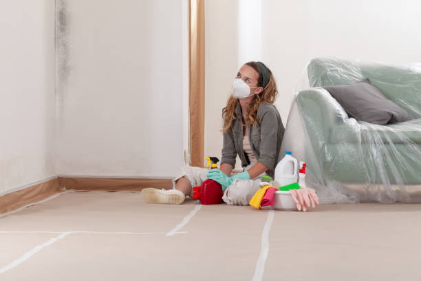 Reliable Black Mold Removal contractor in West Newton, PA by WQB Mold Removal